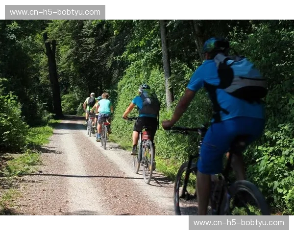 开云体育资讯平台：打造你场上场下都信赖的全景体育信息生态